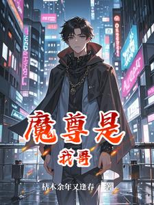 魔尊是我前道侣 小说